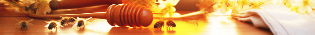 Header-1