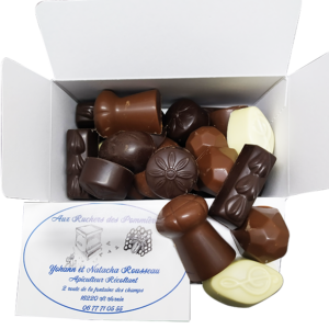 Assortiment bonbons aux chocolats 375g
