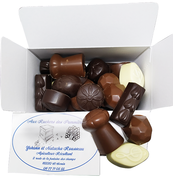 Assortiment bonbons aux chocolats 500g